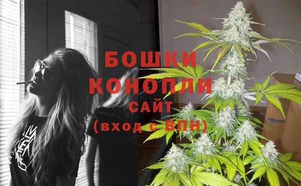 бутират Нягань
