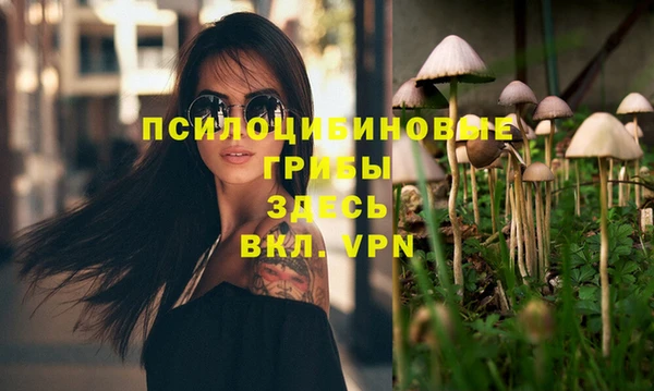 героин Няндома