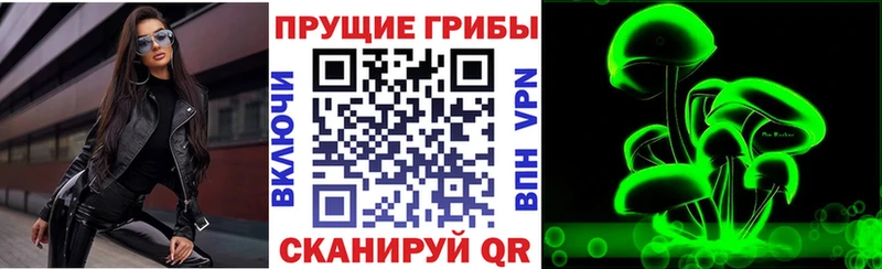 Галлюциногенные грибы мицелий  как найти   Котельники 