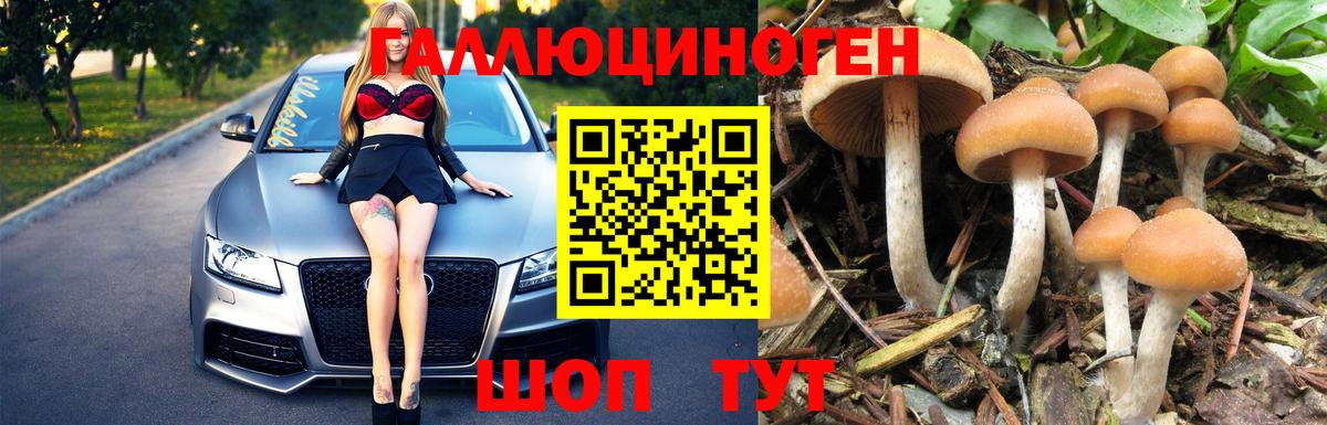 Псилоцибиновые грибы GOLDEN TEACHER Котельники