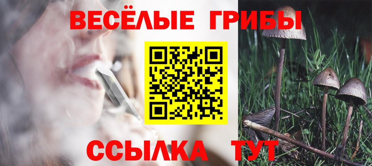 Псилоцибиновые грибы Cubensis  цены   Котельники  Вход с VPN 